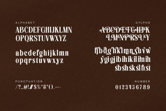 Bishry: A Modern Serif Font for Elegant Brand Identity
