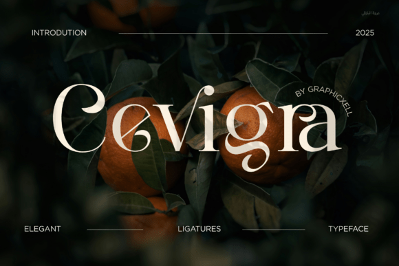 Cevigra: The Elegant Serif Font for Modern Brand Identity