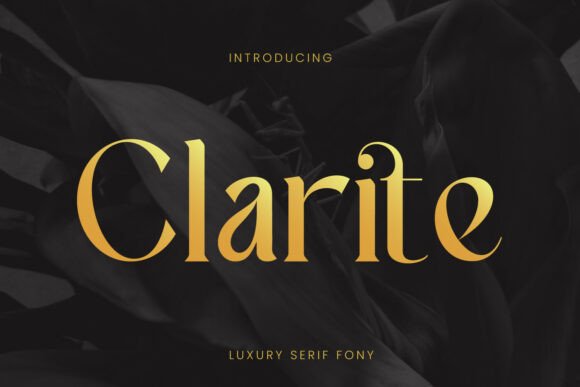 Clarite Regular: A Designer’s Honest Review for Real Projects